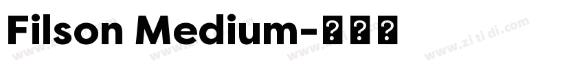 Filson Medium字体转换